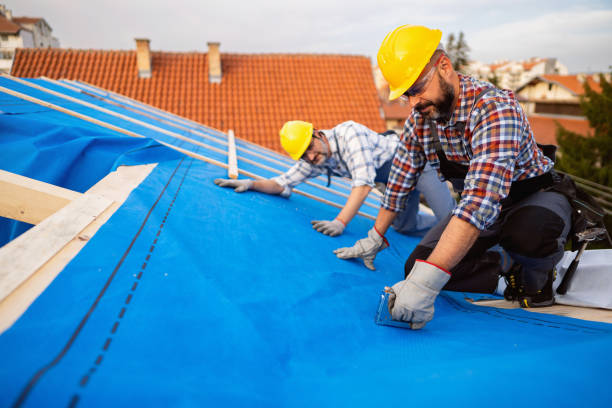 Best Flat Roof Repair Services  in Heritage Pines, FL