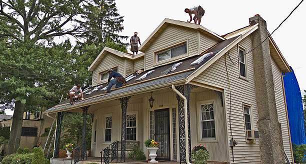 Roof Waterproofing Services in Heritage Pines, FL